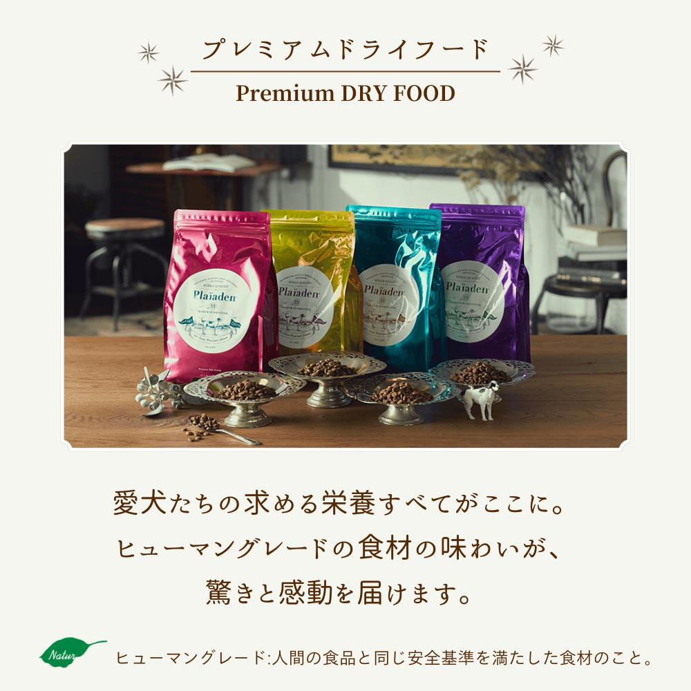 プレイアーデン グルメ 3kg オールステージ 全犬種用 子犬用 成犬用
