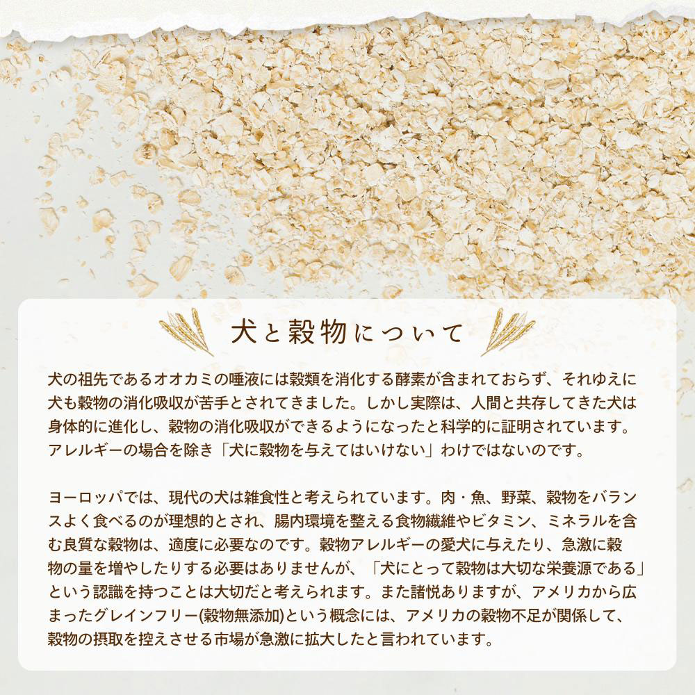 プレイアーデン グルメ 3kg オールステージ 全犬種用 子犬用 成犬用