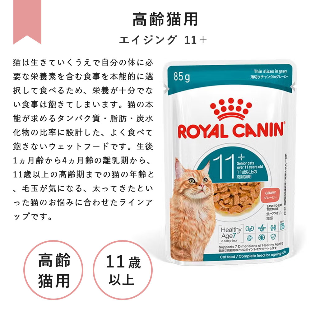 ロイヤルカナン（ROYAL CANIN） [12個セット]ロイヤルカナン