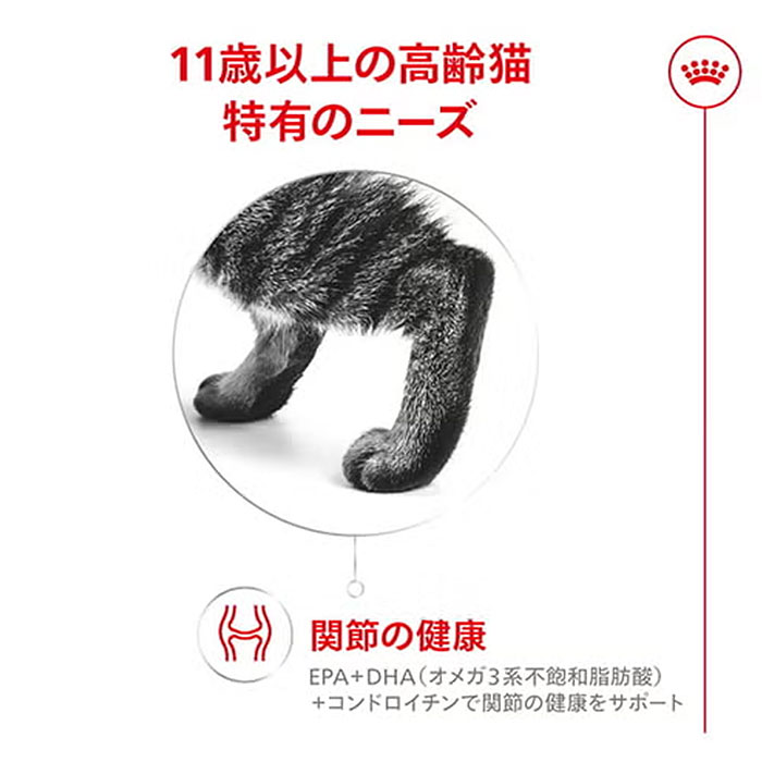 ロイヤルカナン（ROYAL CANIN） エイジング 11+ ウェット 85g 高齢猫用