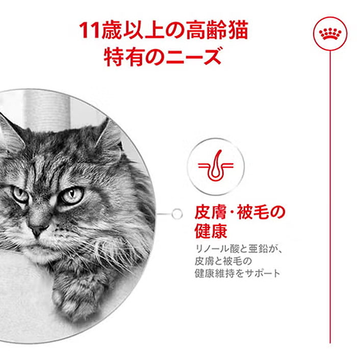 ロイヤルカナン（ROYAL CANIN） エイジング 11+ ウェット 85g 高齢猫用