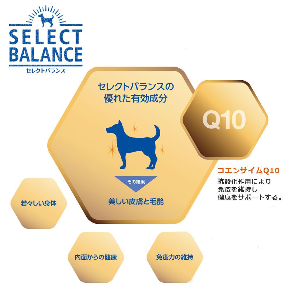 セレクトバランス パピーラム アレルギー 仔犬用 幼犬用 7kg 1歳未満 ドッグフード ドライフード SELECT BALANCE｜gooddog｜06