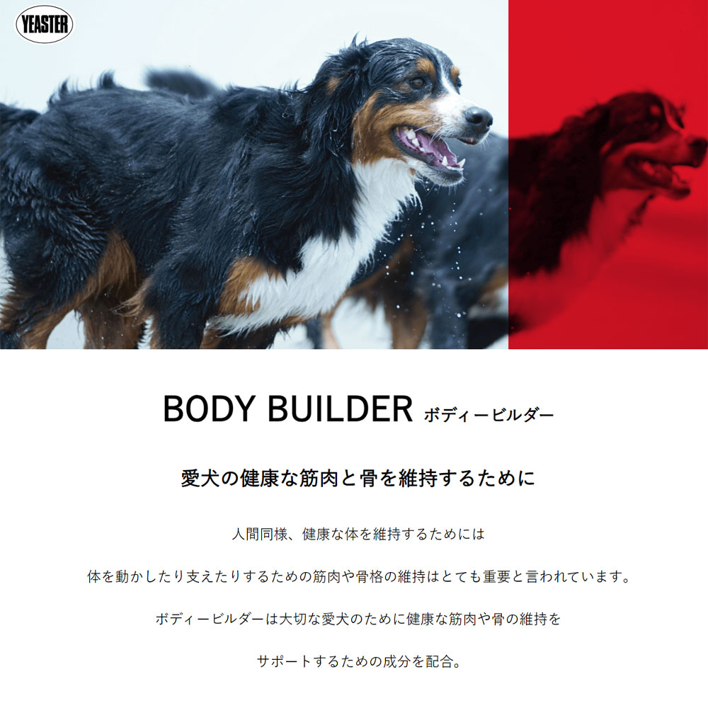 ボディービルダー アダルト 1.8kg 成犬用 全犬種用 総合栄養食 ドッグフード ドライフード 国産 BODY BUILDER イースター yeaster | イースター | 04