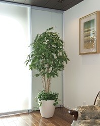 造花のグリーンアート　光触媒/造花　観葉植物　グリーン