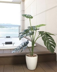 造花のグリーンアート　光触媒/造花　観葉植物　グリーン