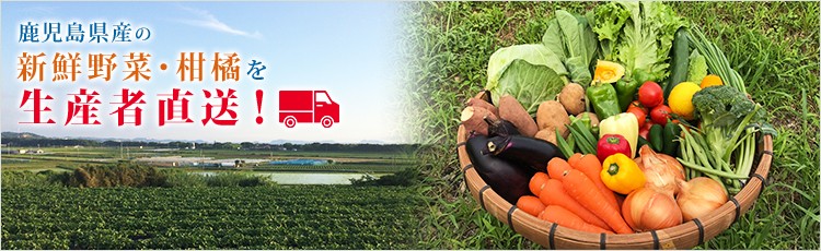 鹿児島県産の新鮮野菜・柑橘を生産者直送!