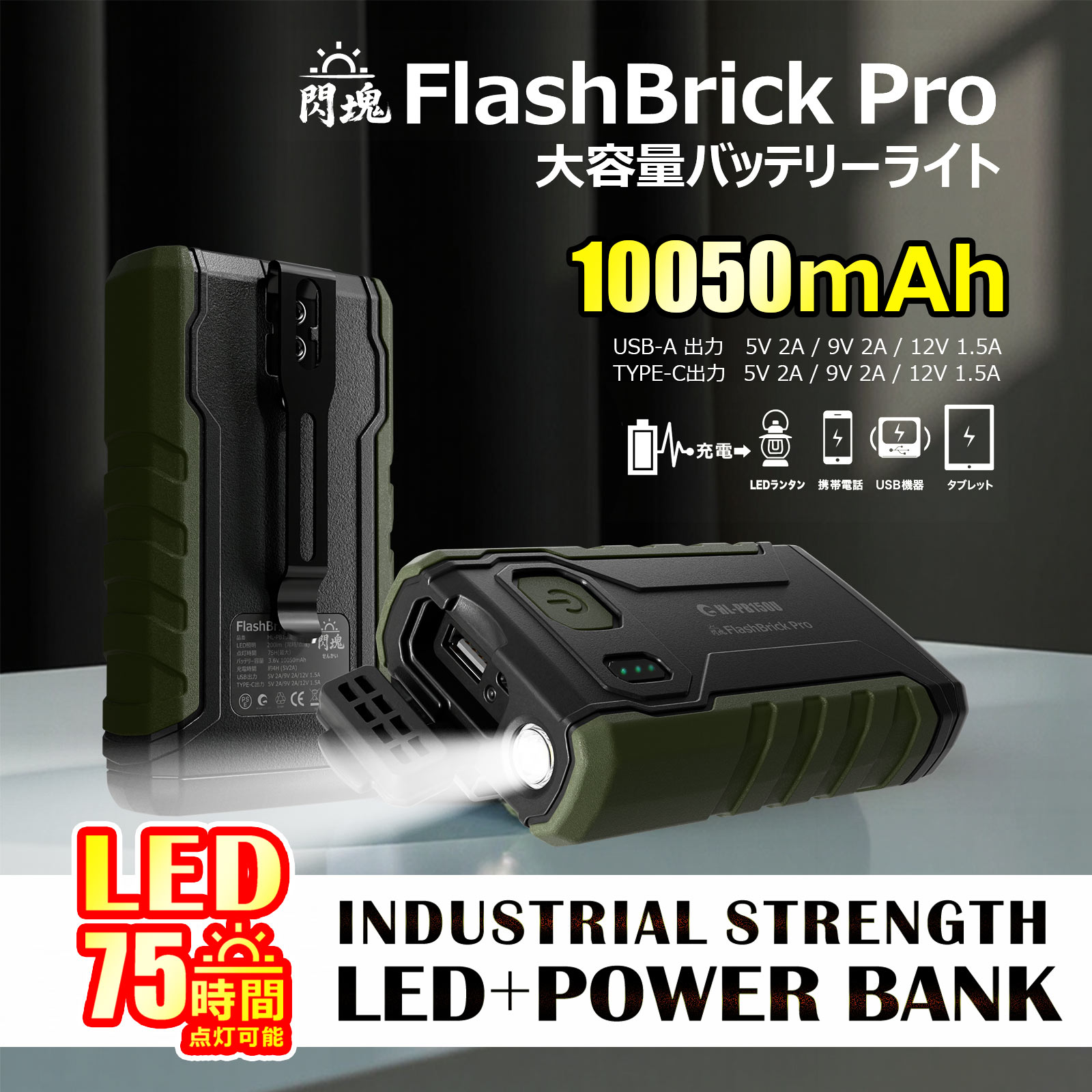 大容量 LEDライト付きポータブル電源 1000W アウトドア 車中泊 キャンプ 防災グッズ