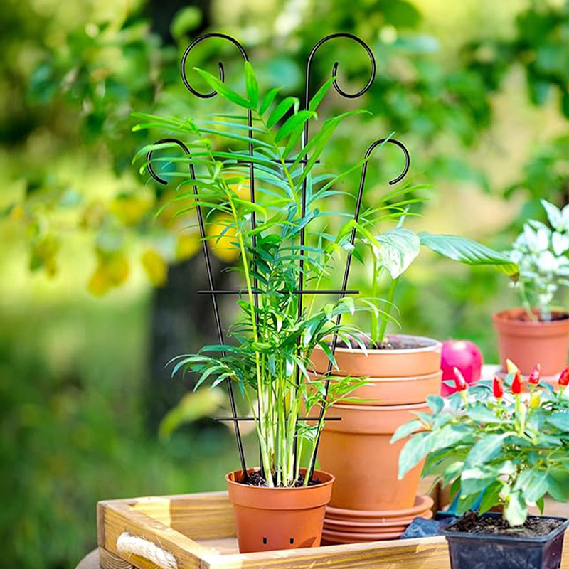2点目半額OFF！鉢植えトレリス つる性植物用ガーデントレリス 植物