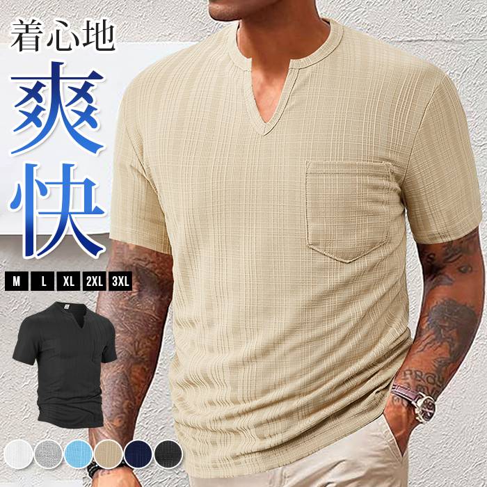 Tシャツ 半袖 トップス ヘンリーネック メンズ 夏 無地 通勤 Vネック ゴルフウェア フィットネス | 