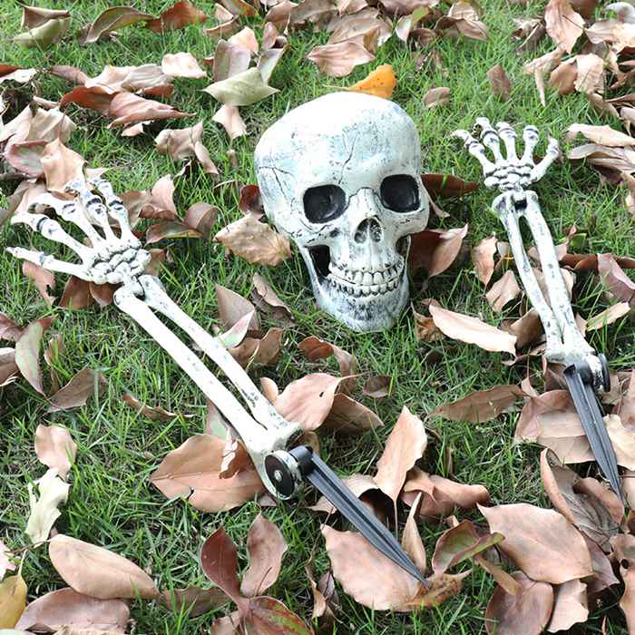 ハロウィン 飾り 骸骨 3点セット 顎可動式 模型 モデル 人体 骨格 ドクロ 可動式 お化け屋敷 密室 店飾り 道具 置物 装飾品 |  | 10
