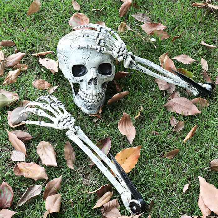 ハロウィン 飾り 骸骨 3点セット 顎可動式 模型 モデル 人体 骨格 ドクロ 可動式 お化け屋敷 密室 店飾り 道具 置物 装飾品 |  | 11