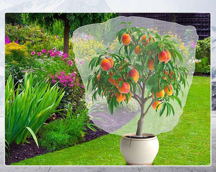 虫除けネット 防虫ネット 果樹 防虫網 鳥よけ 虫よけネット 虫害対策 トマト ネット ファスナー付 |  | 02