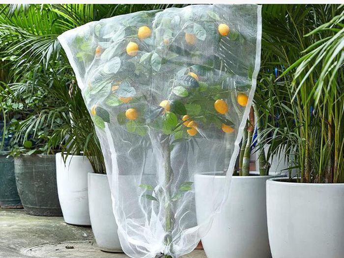 虫除けネット 防虫ネット 果樹 防虫網 鳥よけ 虫よけネット 虫害対策 トマト ネット ファスナー付 |  | 04