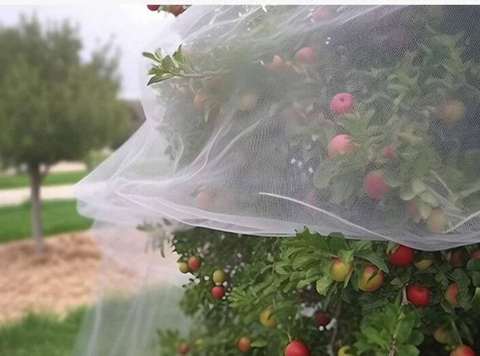 虫除けネット 防虫ネット 果樹 防虫網 鳥よけ 虫よけネット 虫害対策 トマト ネット ファスナー付 |  | 06