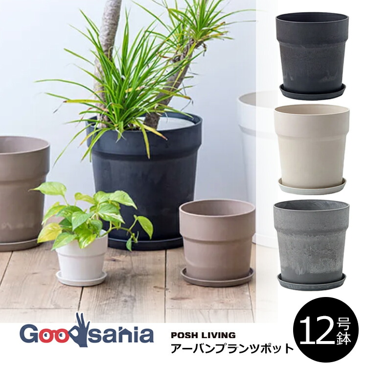 ポッシュリビング POSH LIVING ラダーハンガーＳ サイズ POSH LIVING（ポッシュリビング） 植木鉢 アーバンプランツポット 10号
