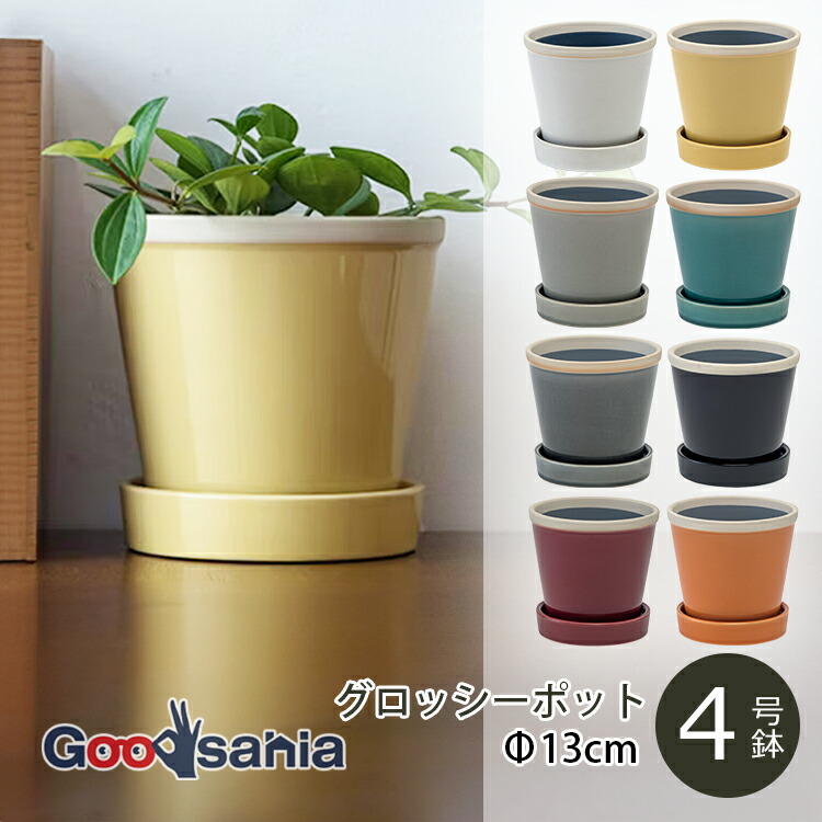 POSH LIVING（ポッシュリビング） 植木鉢 グロッシーポット 約φ16