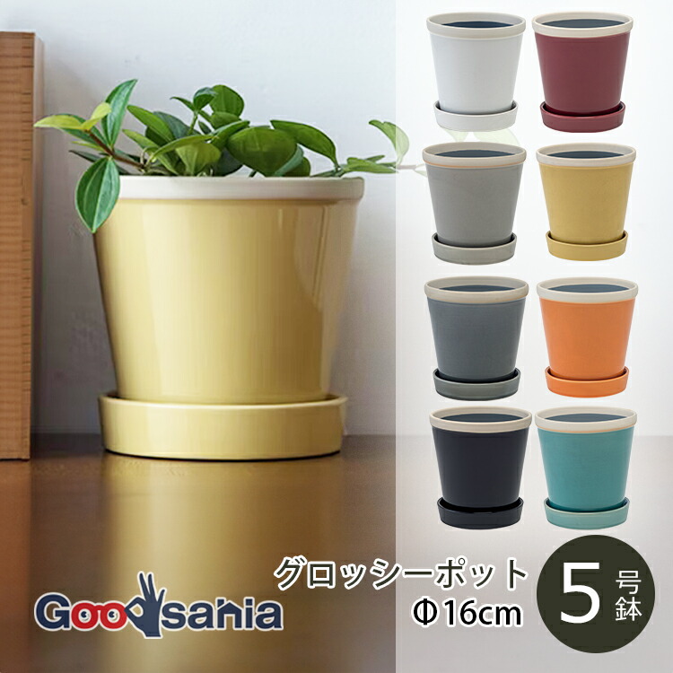 POSH LIVING（ポッシュリビング） 植木鉢 グロッシーポット 約φ16