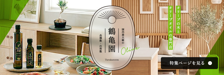 オリーブの木　限定1セット　スパイス好きならぜひどうぞ　5点セット 鶴亀園 オリーブの木 おまかせオリーブ XS 人気8品種から厳選お届け