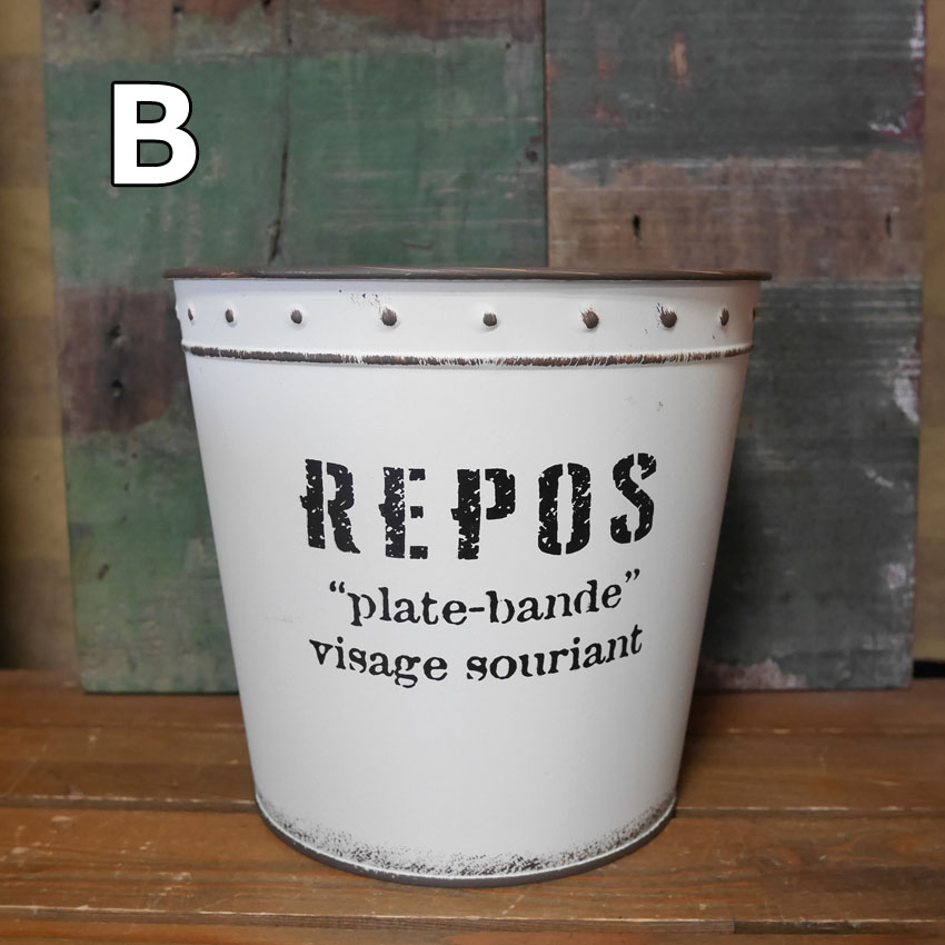 CARNAC（カルナック） ルポ ベーシックポット 5号 ガーデニング