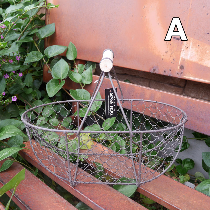 ワイヤーバスケット Lサイズ ガーデン ガーデニング 園芸 植物