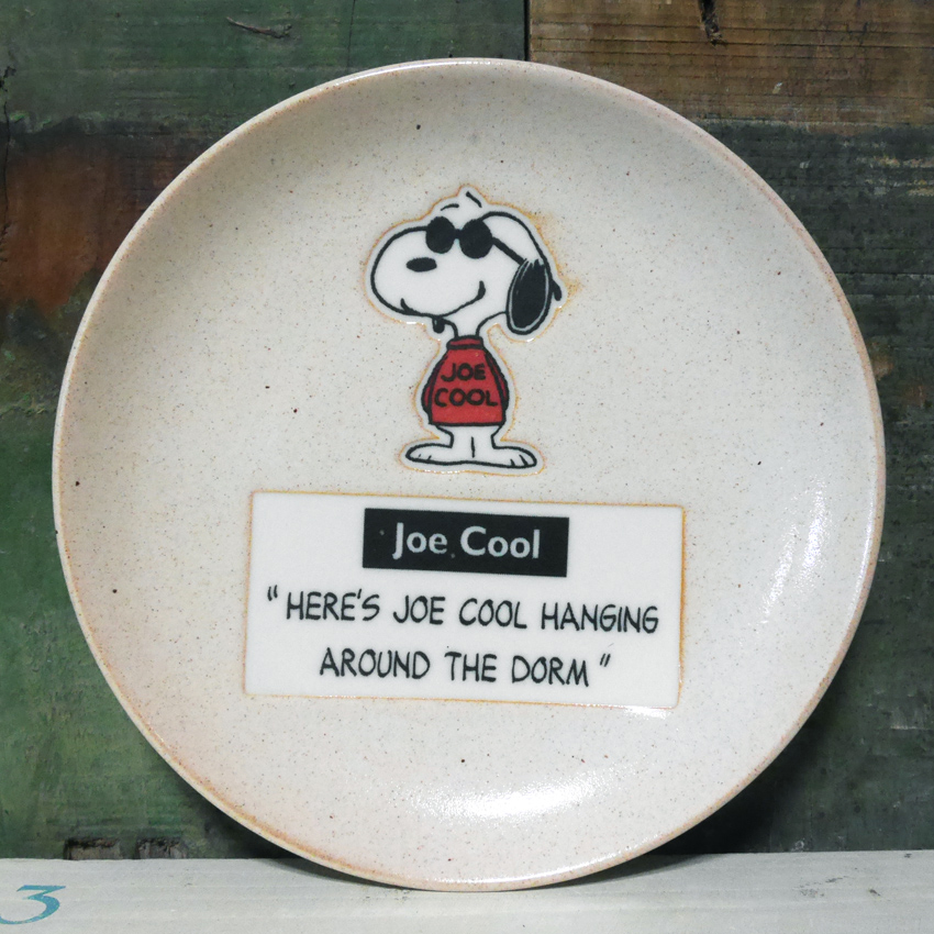 SNOOPY（スヌーピー） PEANUTS 14プレートセット 中皿 4枚セット