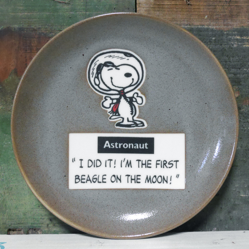 SNOOPY（スヌーピー） PEANUTS 14プレートセット 中皿 4枚セット