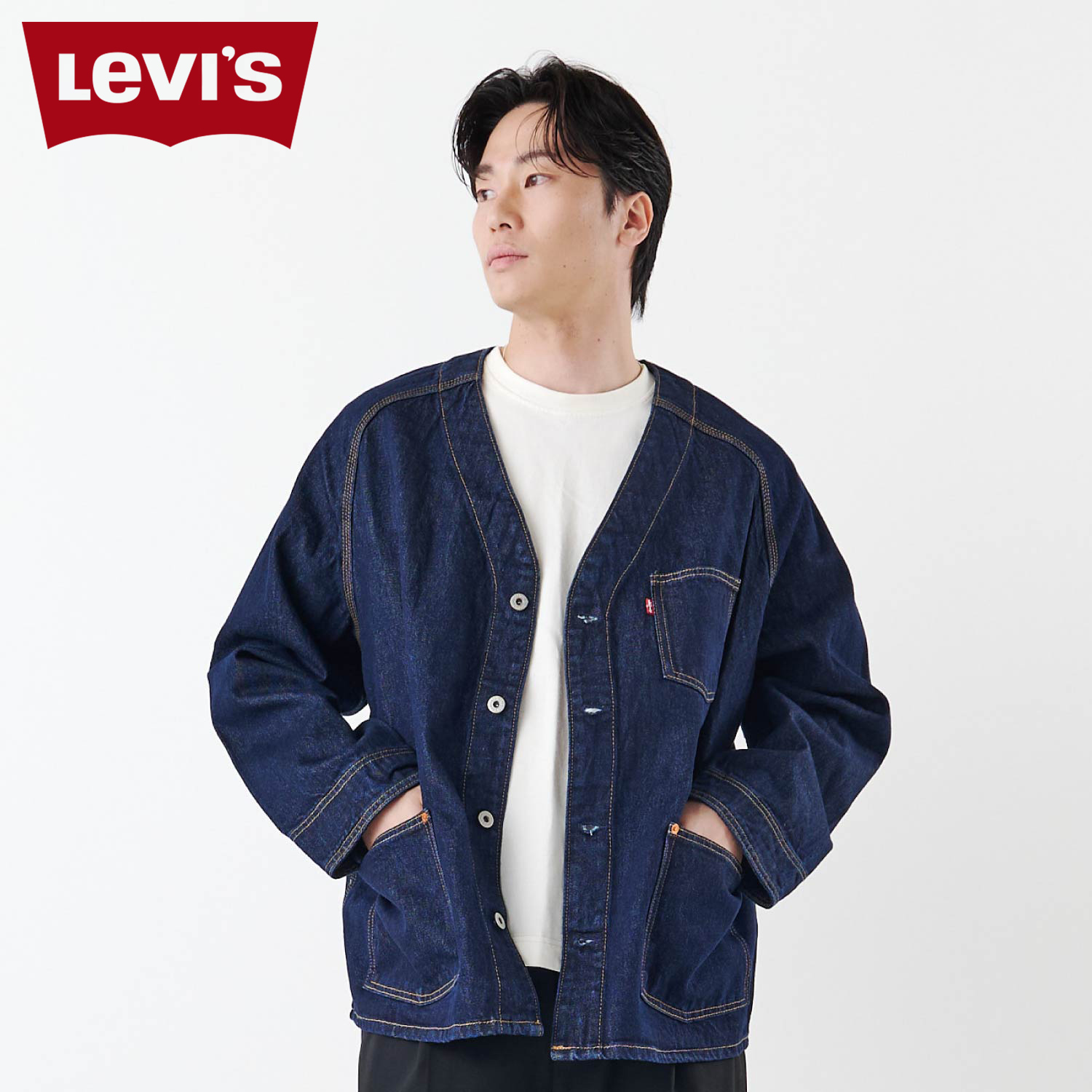 lvs-a7139-0003_s.jpg