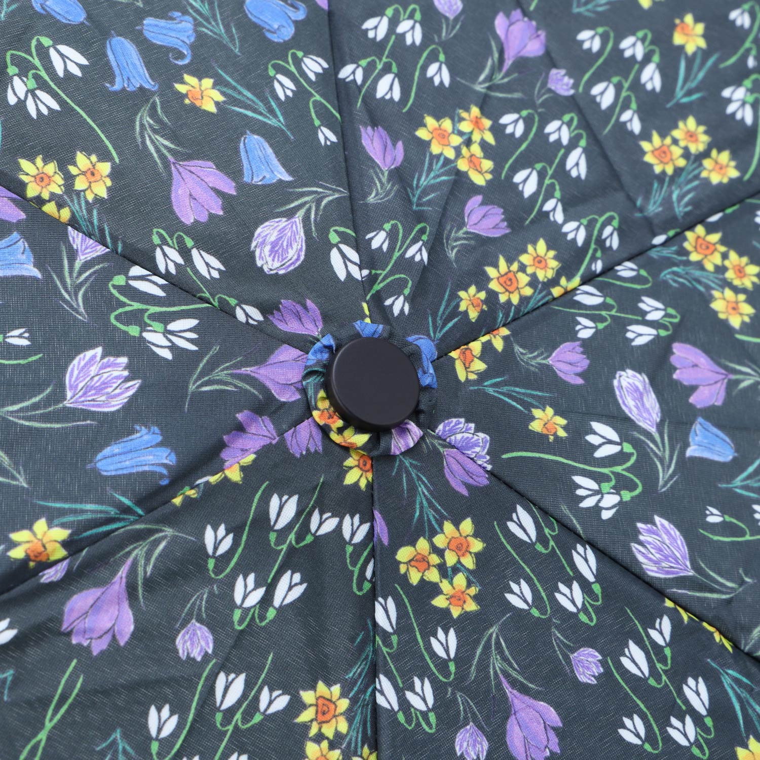 MACKINTOSH PHILOSOPHY（マッキントッシュフィロソフィー