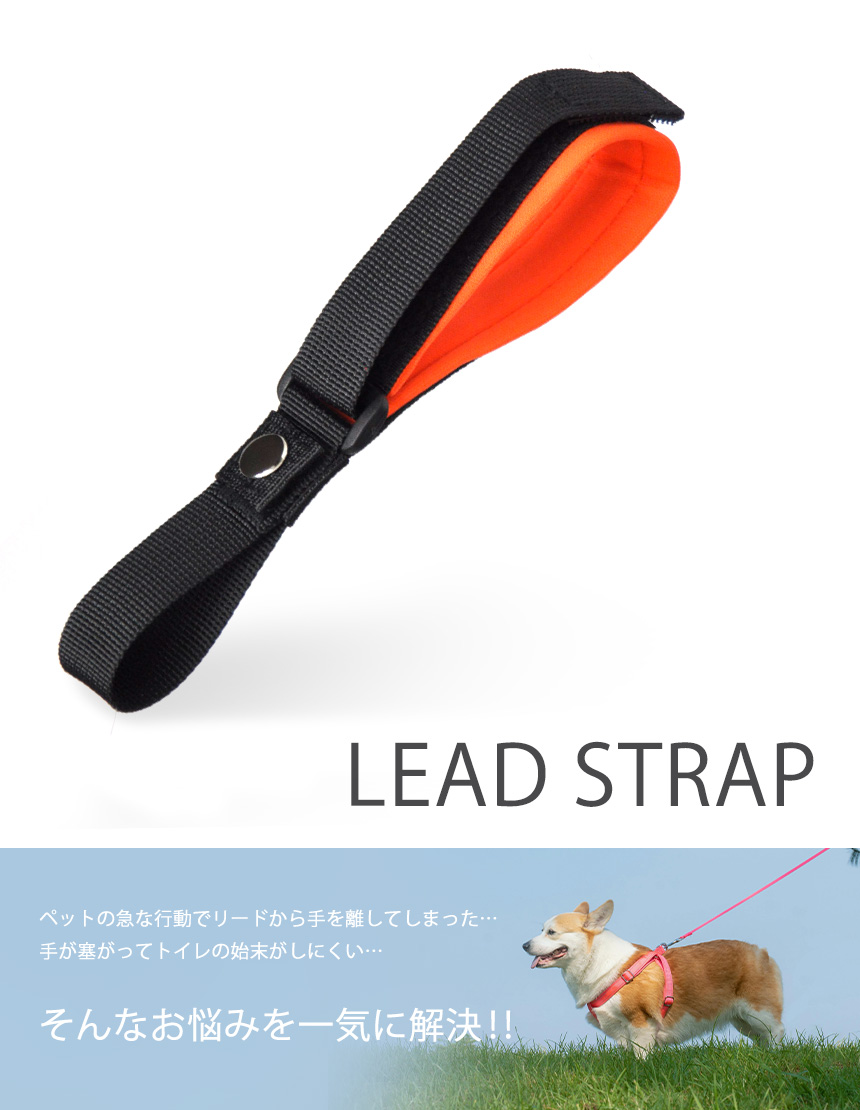 伸縮リード ストラップ 犬用 散歩 一時係留 すっぽ抜け防止 落下防止