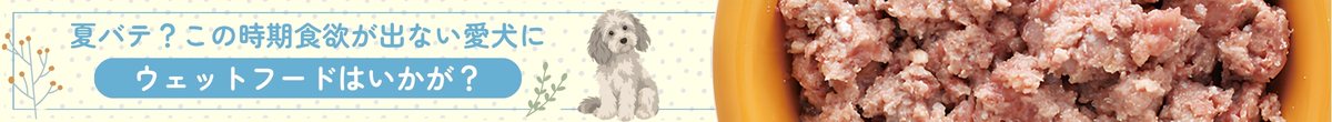 夏バテ？この時期食欲が落ちる愛犬にウェットフードはいかが？
