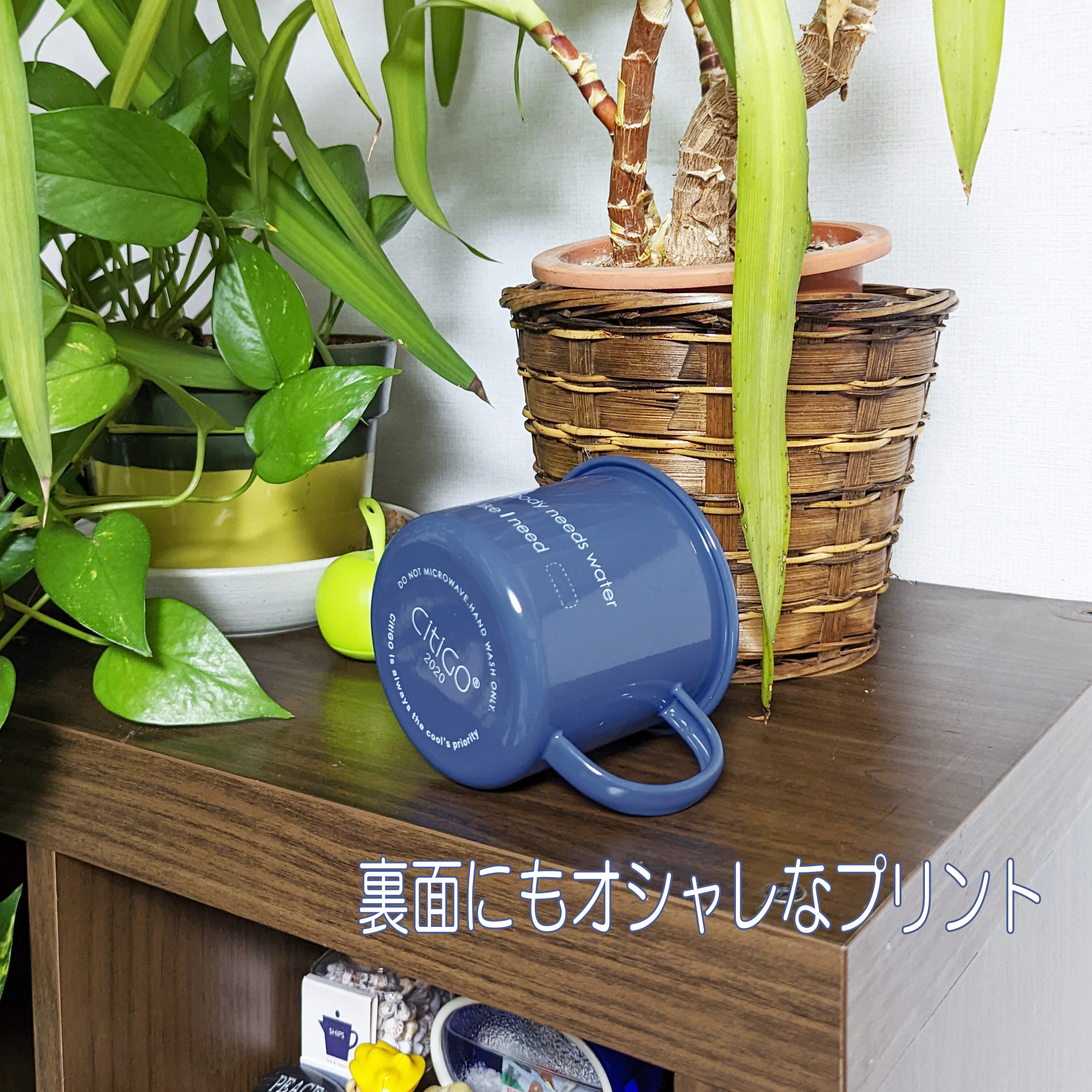 plus-cup-601_2.jpg