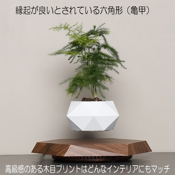 浮遊 フラワー 植物 ポット 六角形台座 フローティング 植木鉢 鉢植え 盆栽 磁気 回転 テーブル リビング 寝室 卓上 ベッドサイド インテリア  浮く : floating-pt-01 : Goodz Store - 通販 - Yahoo!ショッピング