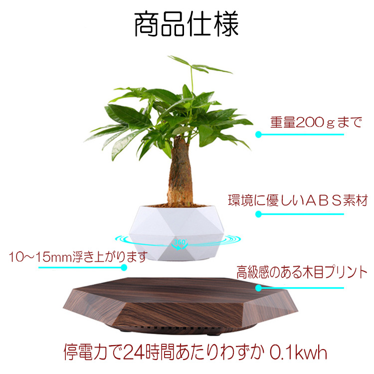 浮遊 フラワー 植物 ポット 六角形台座 フローティング 植木鉢 鉢植え