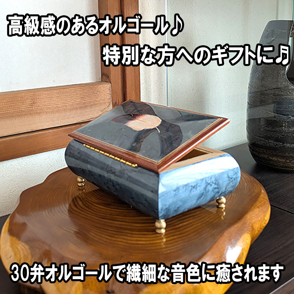 plus-orugo-rubox107.jpg