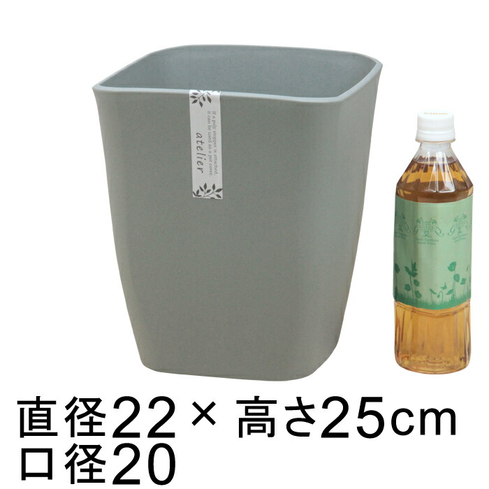  Aؔ AgG p 22cm _[NO[ 6bg Jo[ 6p