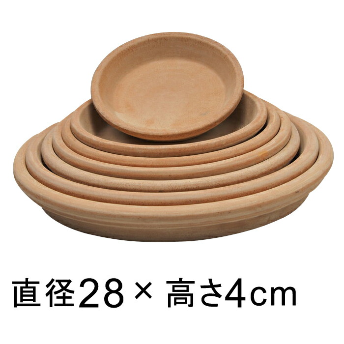 A[i eRb^ M 28cmK锫꒼a22cmȉ̐Aؔ FɌ̍