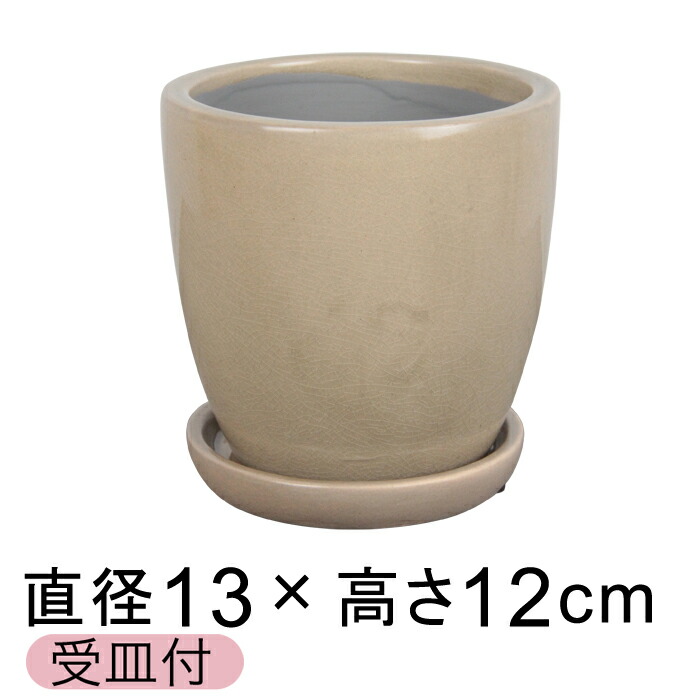 �����ƥ� �ȡ��� ����ȭ ������� 13cm �١����� �ե�å������̼����ա�