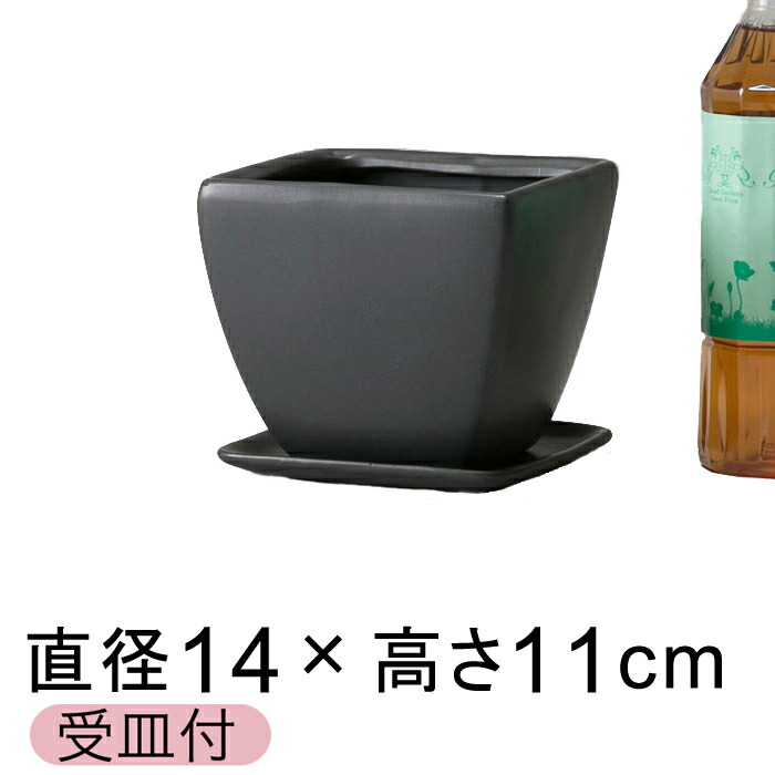 픫 CF p^  △ 14cm 1.4bg Mt Aؔ  