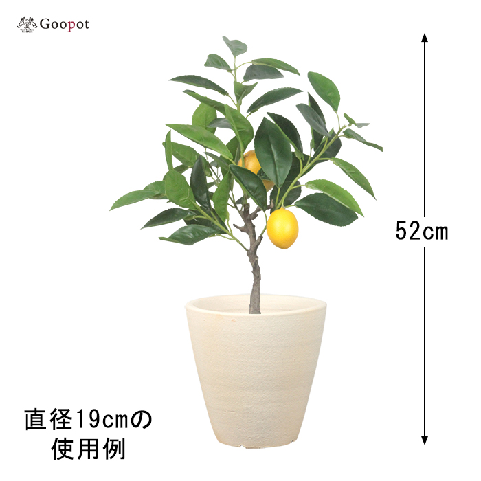 訳あり 白化粧 シンプル深型 素焼き鉢 テラコッタ鉢 植木鉢 おしゃれ