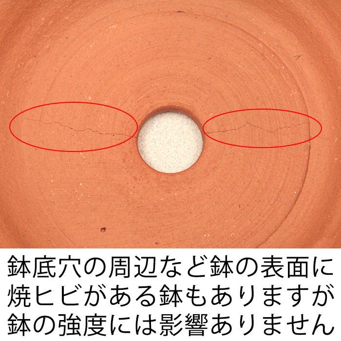 訳あり シンプル 深型 素焼き鉢 テラコッタ鉢 植木鉢 おしゃれ 大中小3個セット [of20] |  | 10