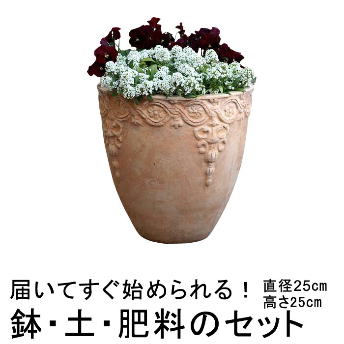 植木鉢 おしゃれ 模様入り丸深型HM白粉 素焼き鉢 テラコッタ 小 25cm :hm15s:植木鉢・鉢カバー専門店グーポット - 通販 -  Yahoo!ショッピング