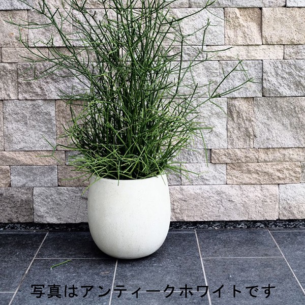 ラウンド 植木鉢 おしゃれ 大型 テラニアス バルーン 42cm アンティーク ホワイト【グリーンポット社】