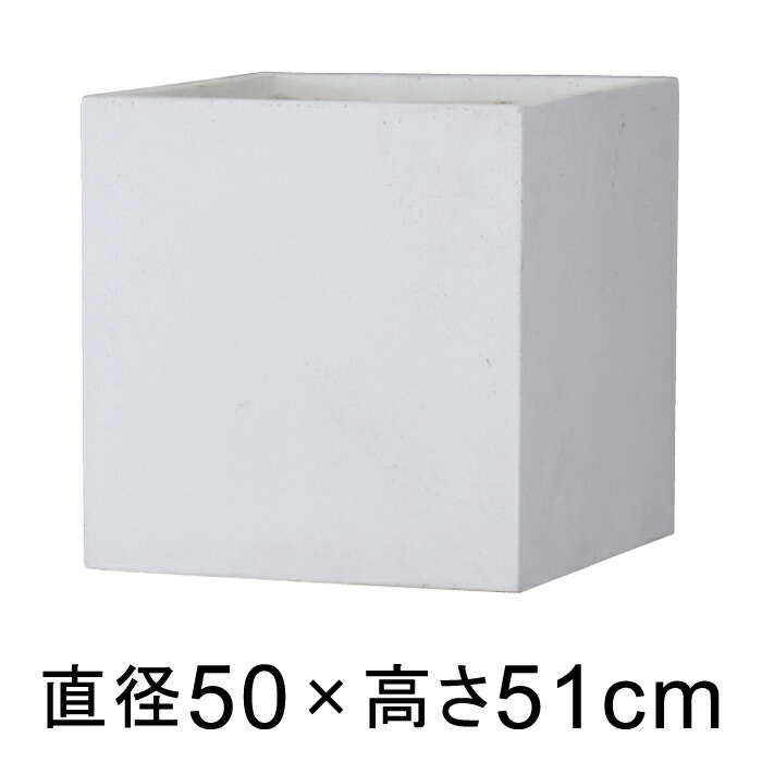 バスク キューブ 50cm ホワイト【送料無料】【メーカー直送・同梱不可