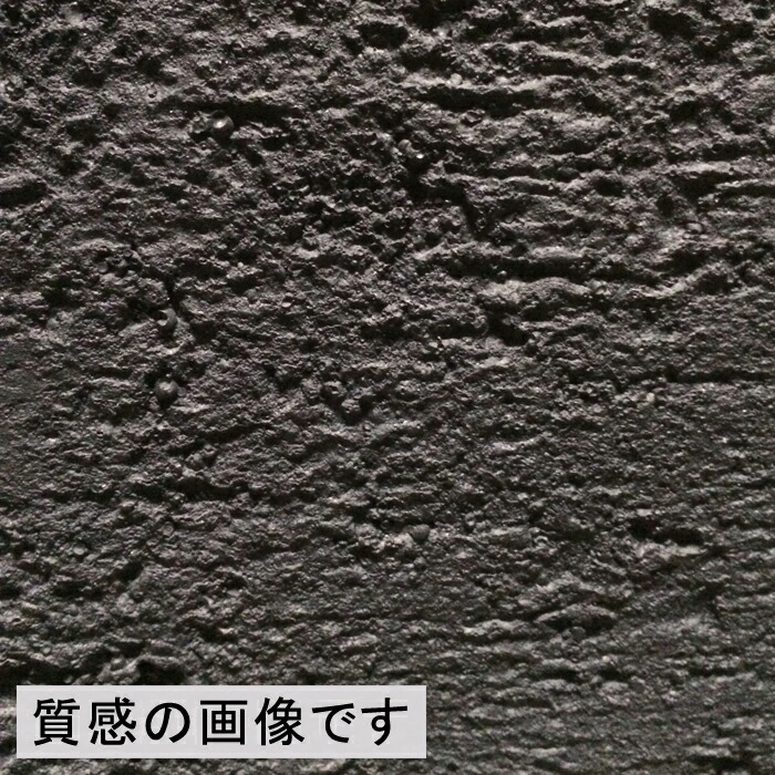リガンデ キューブ 50cm ブラック 【送料無料】【メーカー直送・同梱不可・代引不可・返品不可】【グリーンポット社】_3