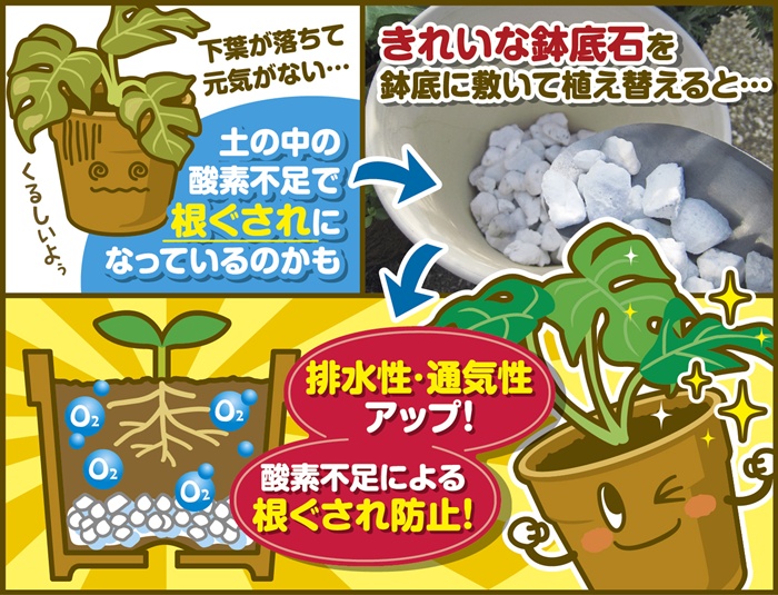 きれいな鉢底石 2L〔リットル〕鉢底ネット付き【花ごころ】 : 植木鉢
