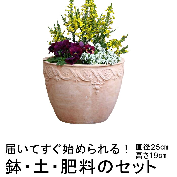 素焼き鉢 鉢の人気商品・通販・価格比較 - 価格.com