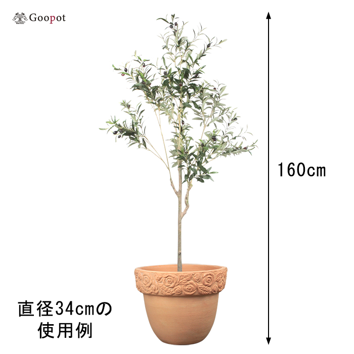 バラ 鉢 テラコッタの商品一覧 通販 - Yahoo!ショッピング