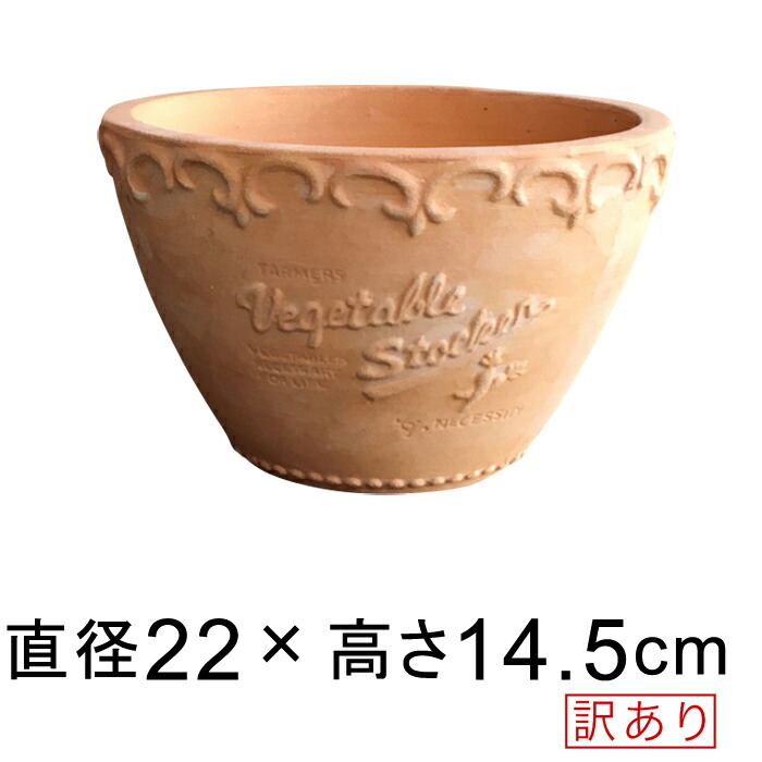 ������� ����ȭ �������� �� ���� HM ��ʴ �ǾƤ�ȭ �ƥ饳�å� �� 22cm 2��åȥ�