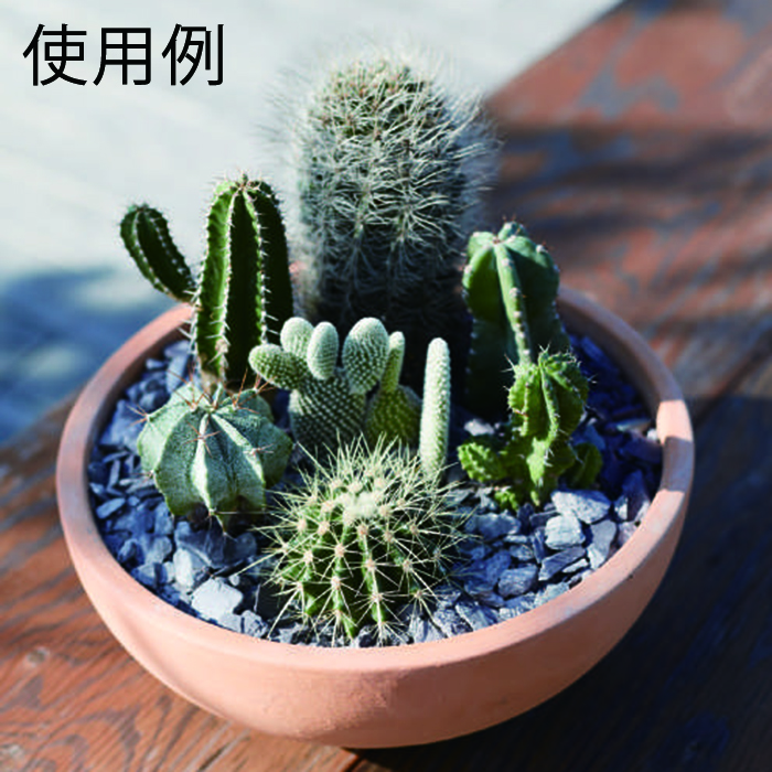 植木鉢 おしゃれ 浅型 インテイ ボウル 30cm 6リットル 素焼き鉢