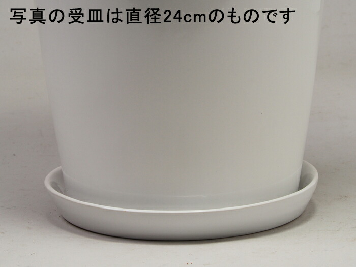【訳あり】ツルツル 丸 ロング 深型 陶器鉢 白 L 30cm H59cm 26リットル 受皿付【注：実際の受皿は直径約26cmです】 [of20]｜goopot｜03